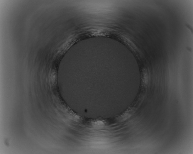 X0000101950513200807181453