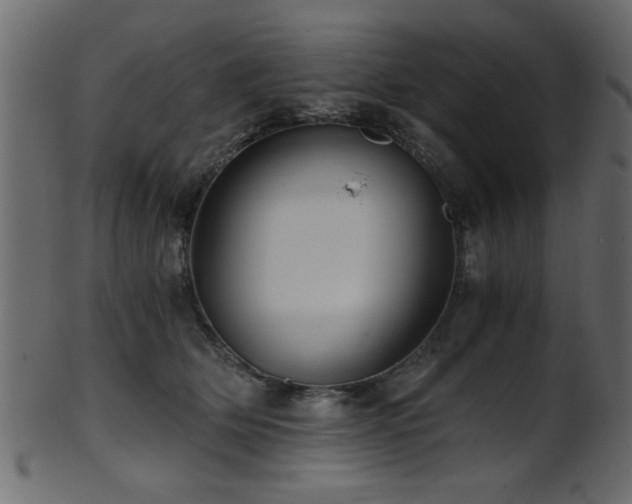 X0000101950514200807181453