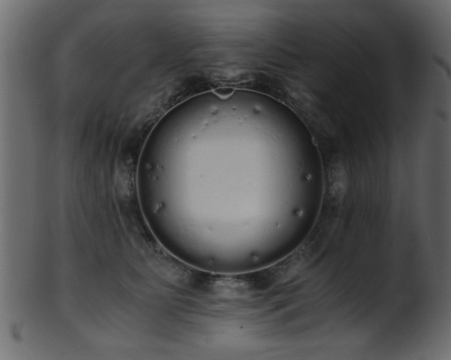 X0000101950515200807181453