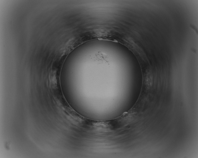 X0000101950516200807181453