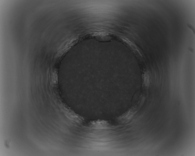 X0000101950517200807181453