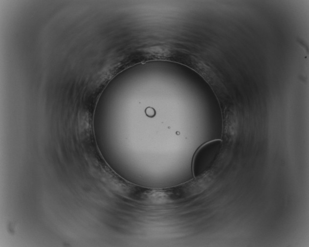 X0000101950518200807181453