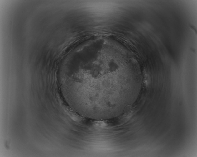 X0000101950519200807181453