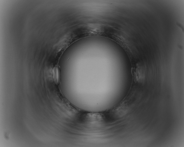 X0000101950520200807181453