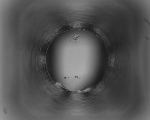 X0000101950521200807181453