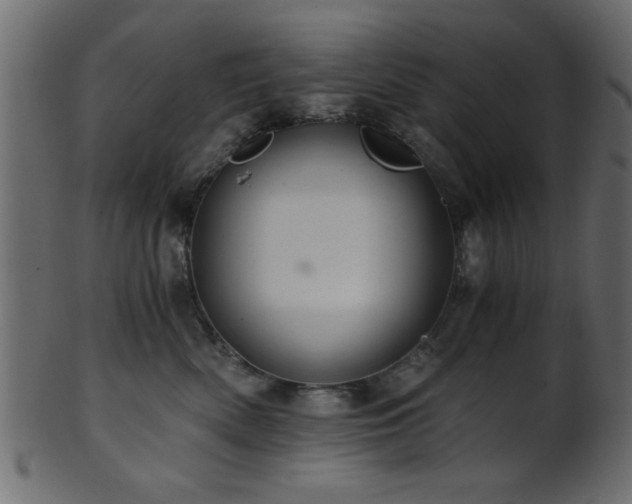 X0000101950522200807181453