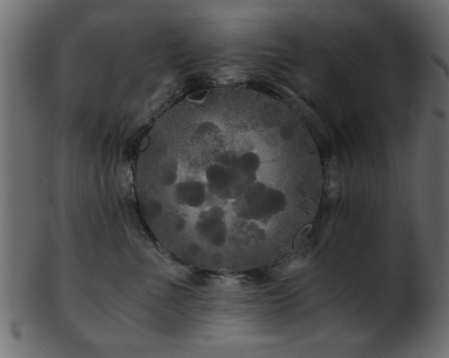 X0000101950523200807181453