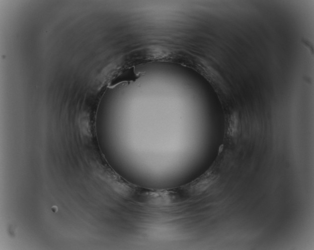 X0000101950524200807181453