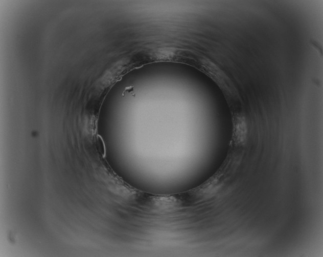 X0000101950525200807181453