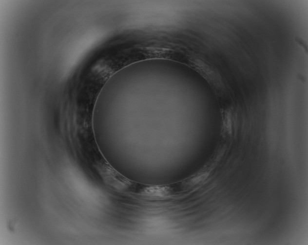 X0000101950526200807181453