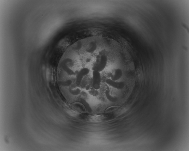 X0000101950527200807181453