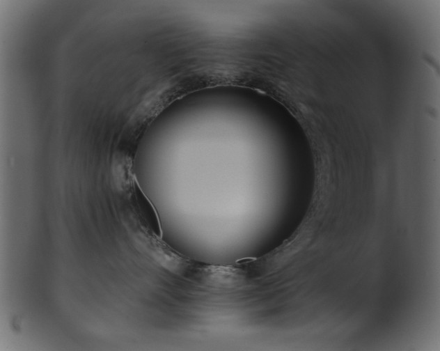 X0000101950528200807181453