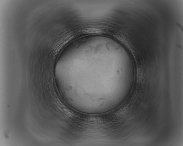 X0000101950529200807181452