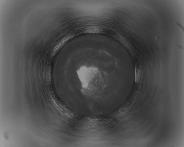 X0000101950531200807181452