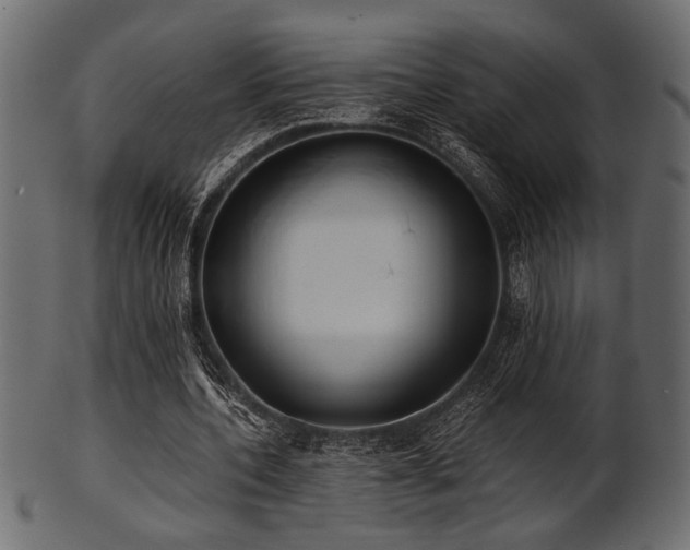 X0000101950532200807181452