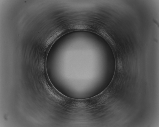 X0000101950533200807181452