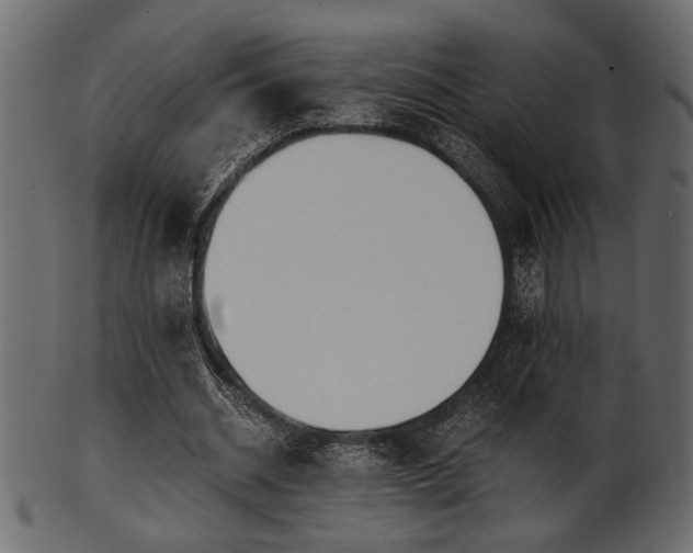 X0000101950534200807181452