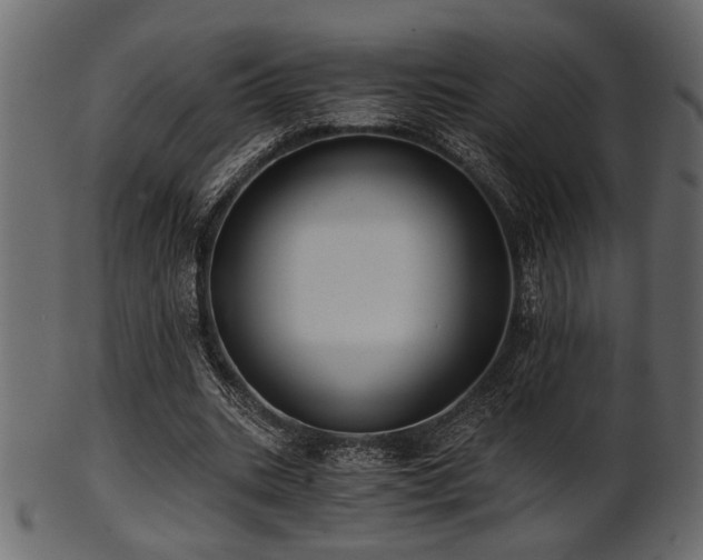 X0000101950535200807181452