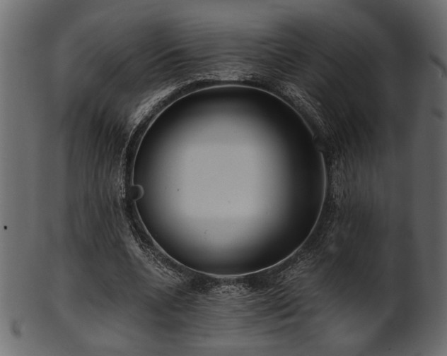 X0000101950536200807181452