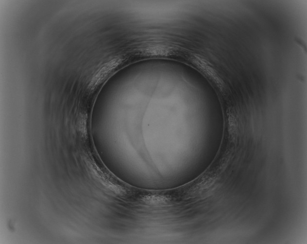 X0000101950537200807181452