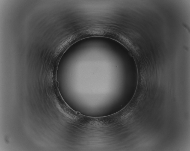 X0000101950538200807181452