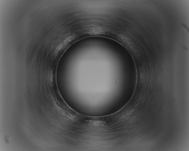 X0000101950539200807181452