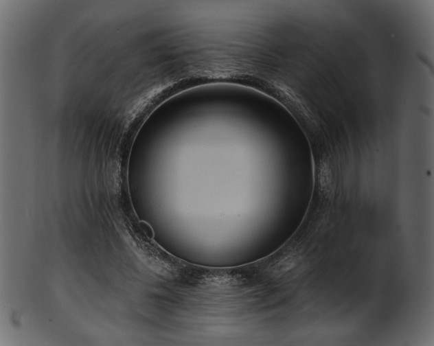 X0000101950540200807181452