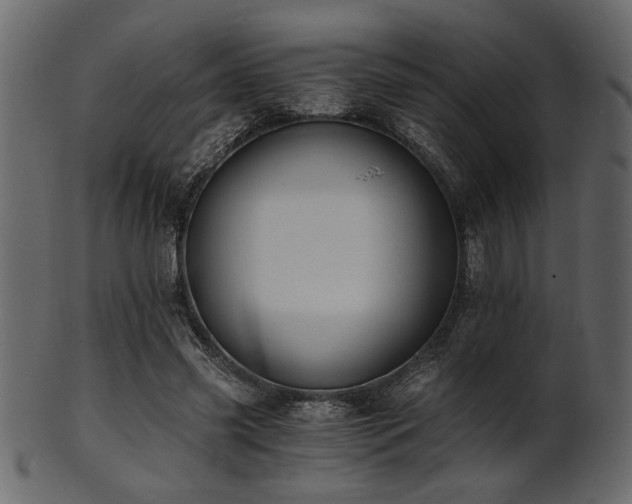 X0000101950541200807181452