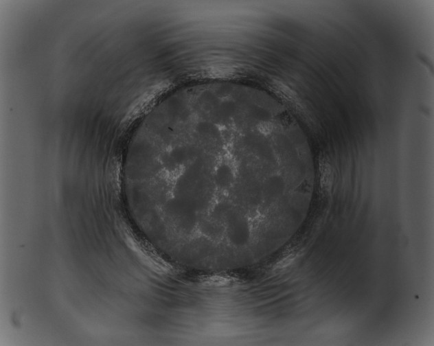 X0000101950542200807181452