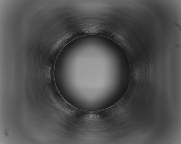 X0000101950543200807181453