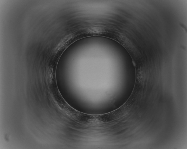 X0000101950544200807181453