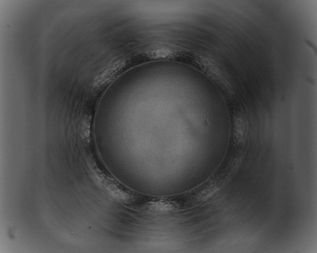 X0000101950545200807181453