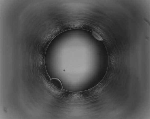 X0000101950546200807181453