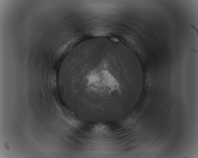 X0000101950547200807181453