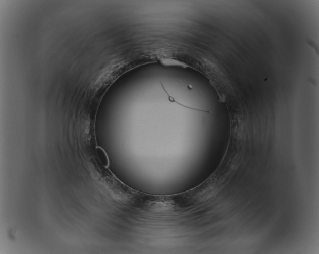 X0000101950548200807181453