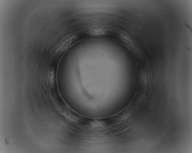 X0000101950549200807181453