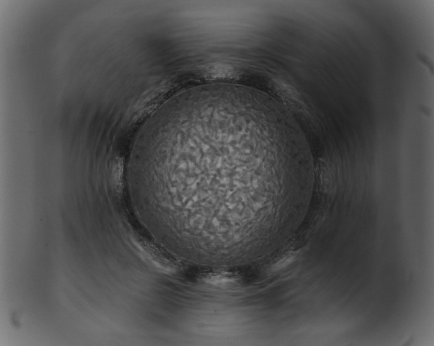 X0000101950550200807181453