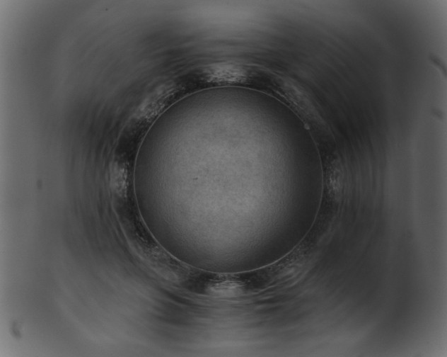 X0000101950551200807181453