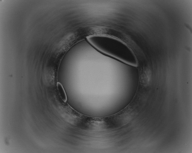 X0000101950552200807181453