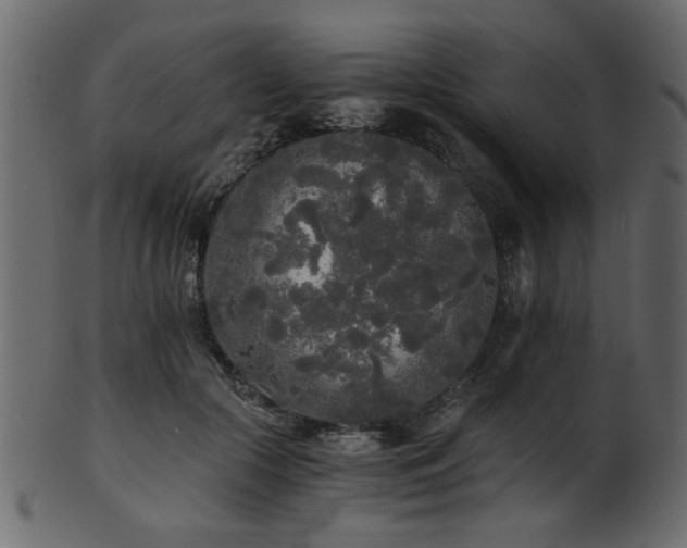 X0000101950553200807181453