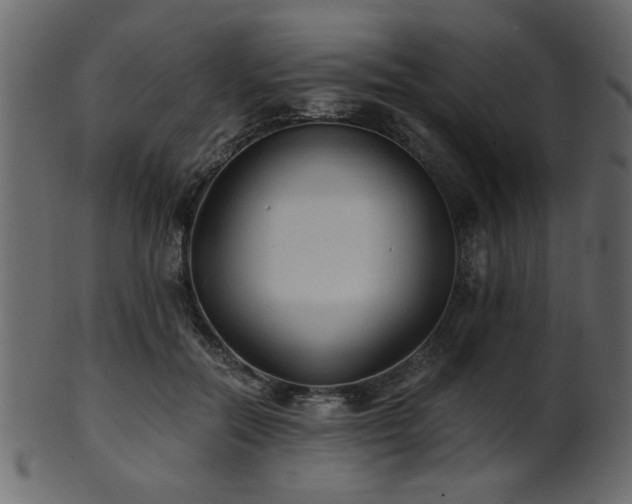 X0000101950554200807181453