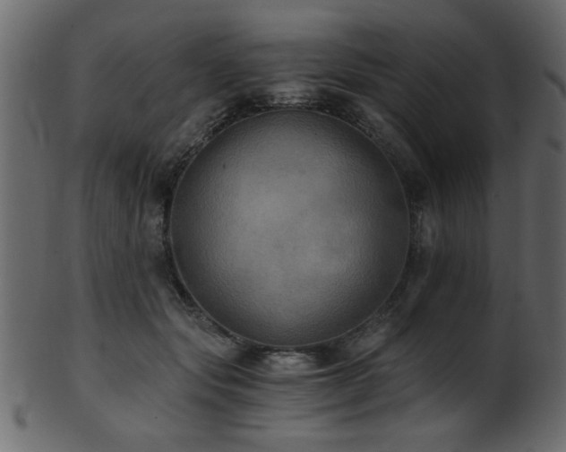 X0000101950557200807181453