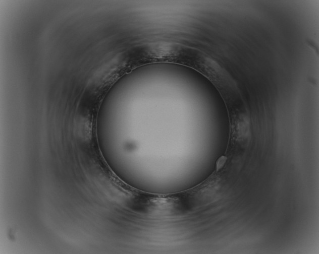 X0000101950558200807181453