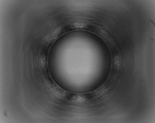 X0000101950559200807181453