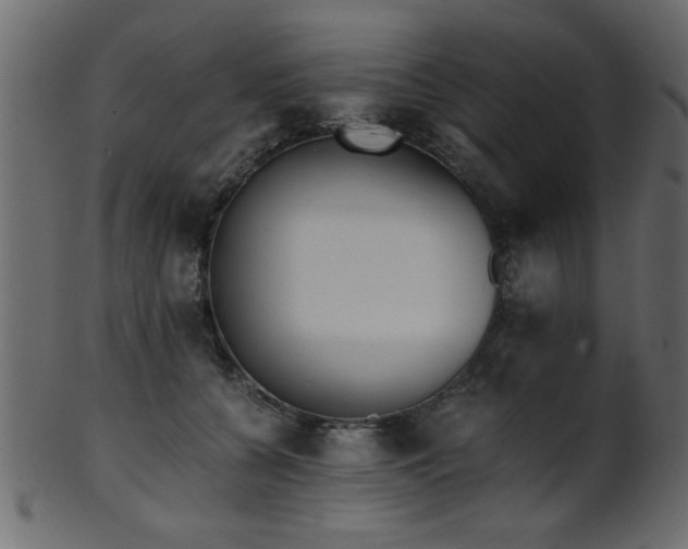 X0000101950560200807181453