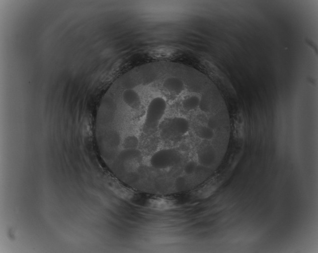 X0000101950561200807181453