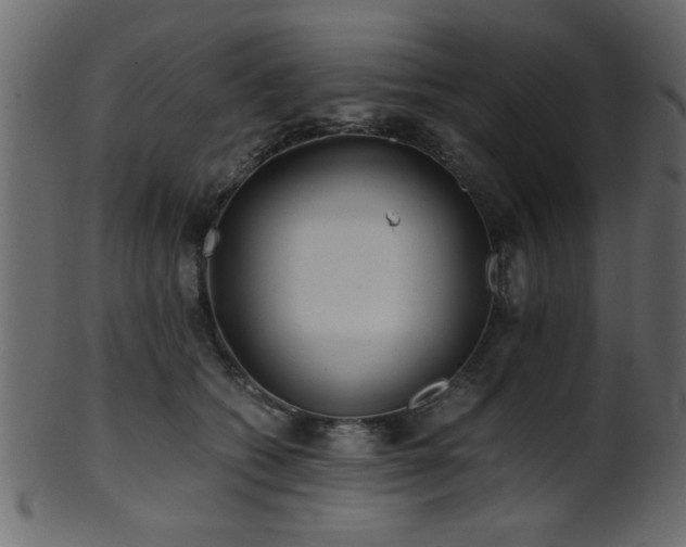 X0000101950562200807181453