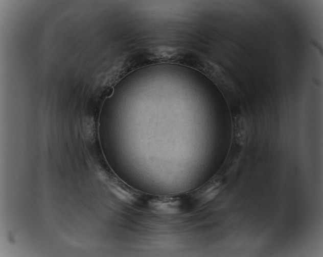 X0000101950563200807181453