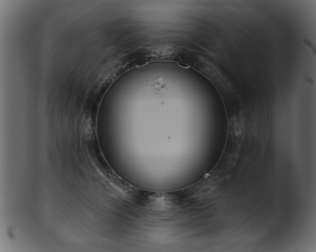 X0000101950564200807181453