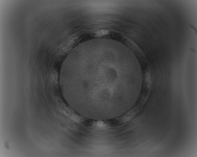 X0000101950565200807181453